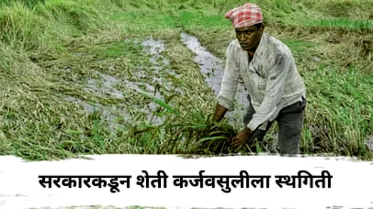 शेतकऱ्यांसाठी मोठा दिलासा! पूरग्रस्त भागातील पीक कर्ज वसुलीला 'या' तारखेपर्यंत मिळाली स्थगिती; शासनाचा मोठा निर्णय आणि पुनर्घटन पर्याय | Crop Loan Recovery Stay