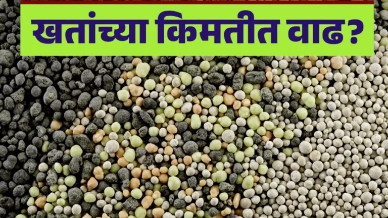 खतांच्या भावात 'कंबरडे मोडणारी' वाढ: रब्बी हंगामाच्या तोंडावर शेतकरी पुन्हा संकटात! DAP, पोटॅश, मिश्र खतांचे ताजे दर आणि 'लिंकिंग'चे गैरप्रकार (Fertilizer Costs)