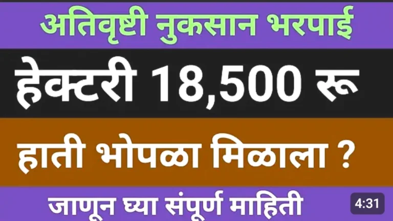 हेक्टरी 18900 रुपये भरपाई कधी मिळते? जाणून घ्या क्लेम प्रक्रिया | Crop Insurance